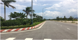 Công trình Cây xanh đường trục chính Nam - Bắc của Trung tâm huyện lỵ Sơn Tịnh