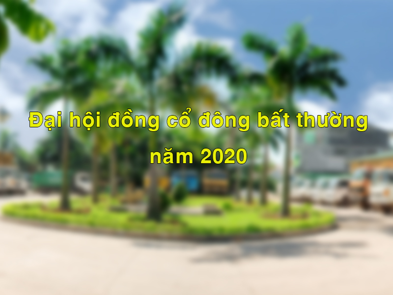 dai hoi co dong bat thuong 2020